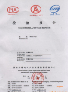 委托檢驗(yàn)報告